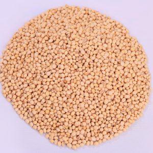 Non-GMO soybeans