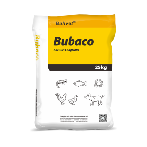Bacillus Coagulans