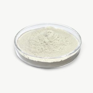Bacillus Coagulans