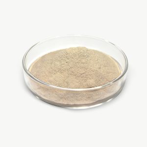 Bacillus Licheniformis