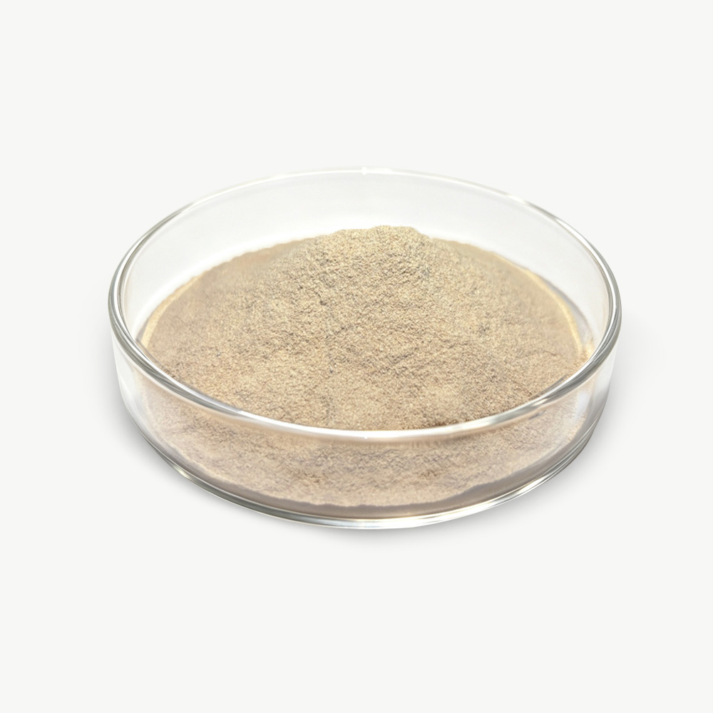 Bacillus Licheniformis 1 Bacillus Licheniformis