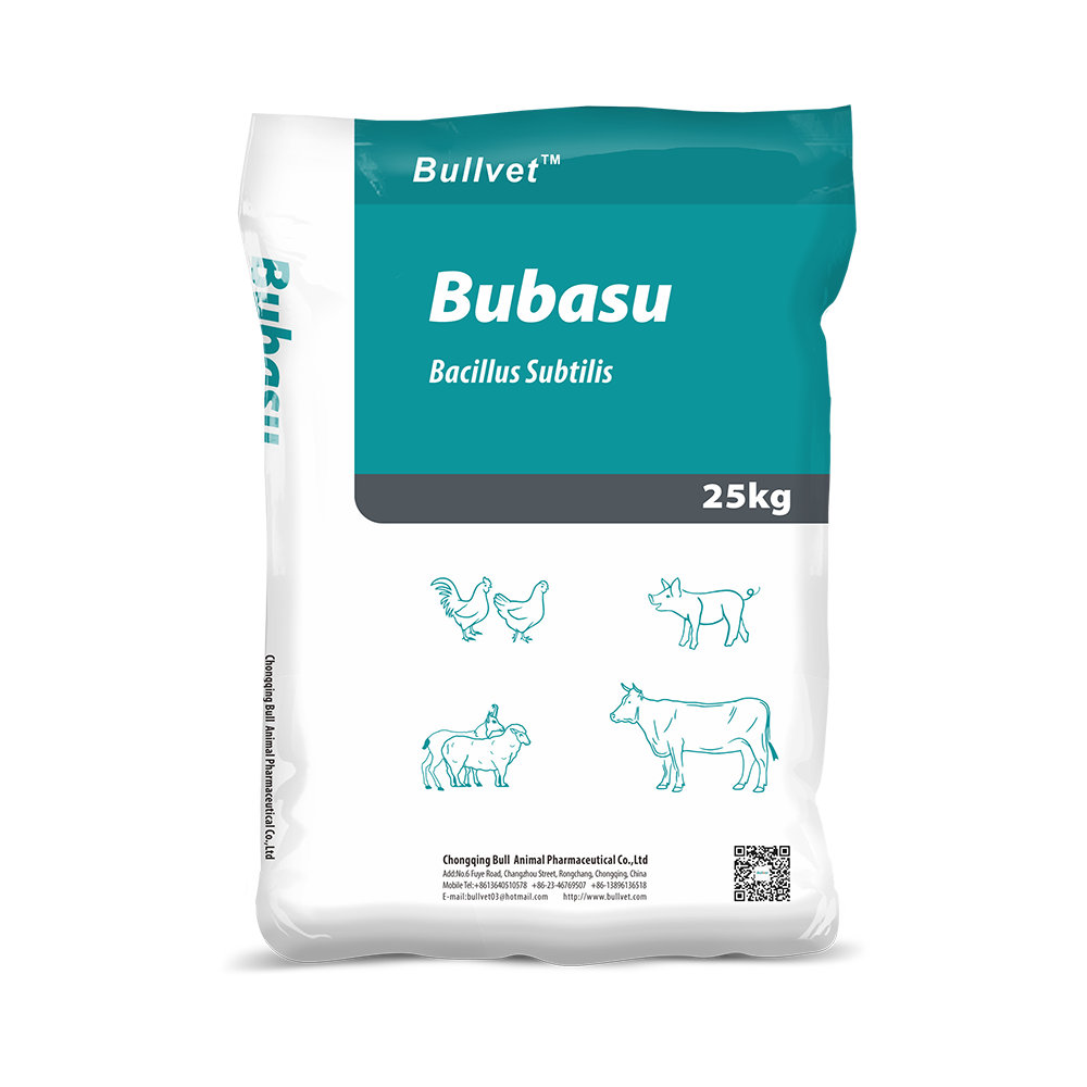 Bacillus Subtilis 1 Bacillus Subtilis