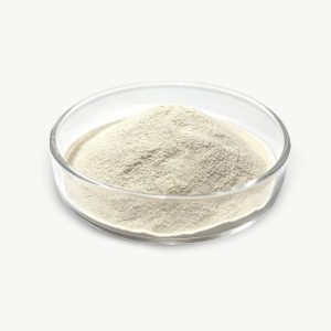 Clostridium Butyricum