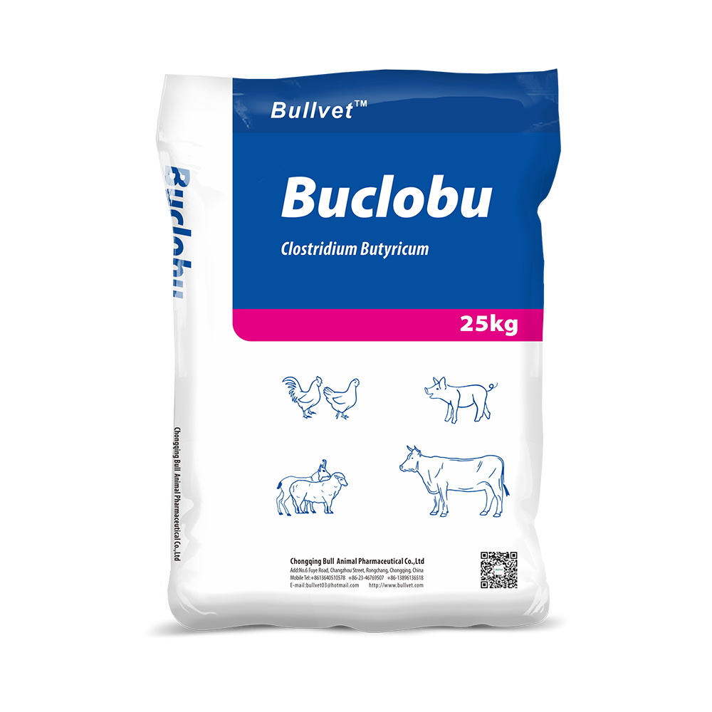Clostridium Butyricum 1 Clostridium Butyricum