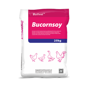 Bucornsoy-Mannanase, protease, xylanase, amylase, cellulase