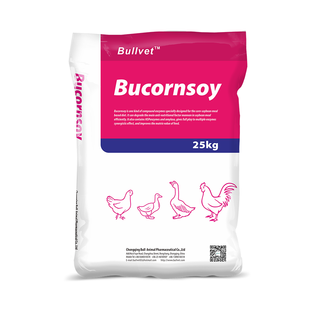 Bucornsoy-Mannanase, protease, xylanase, amylase, cellulase 1 Bucornsoy-Mannanase, protease, xylanase, amylase, cellulase
