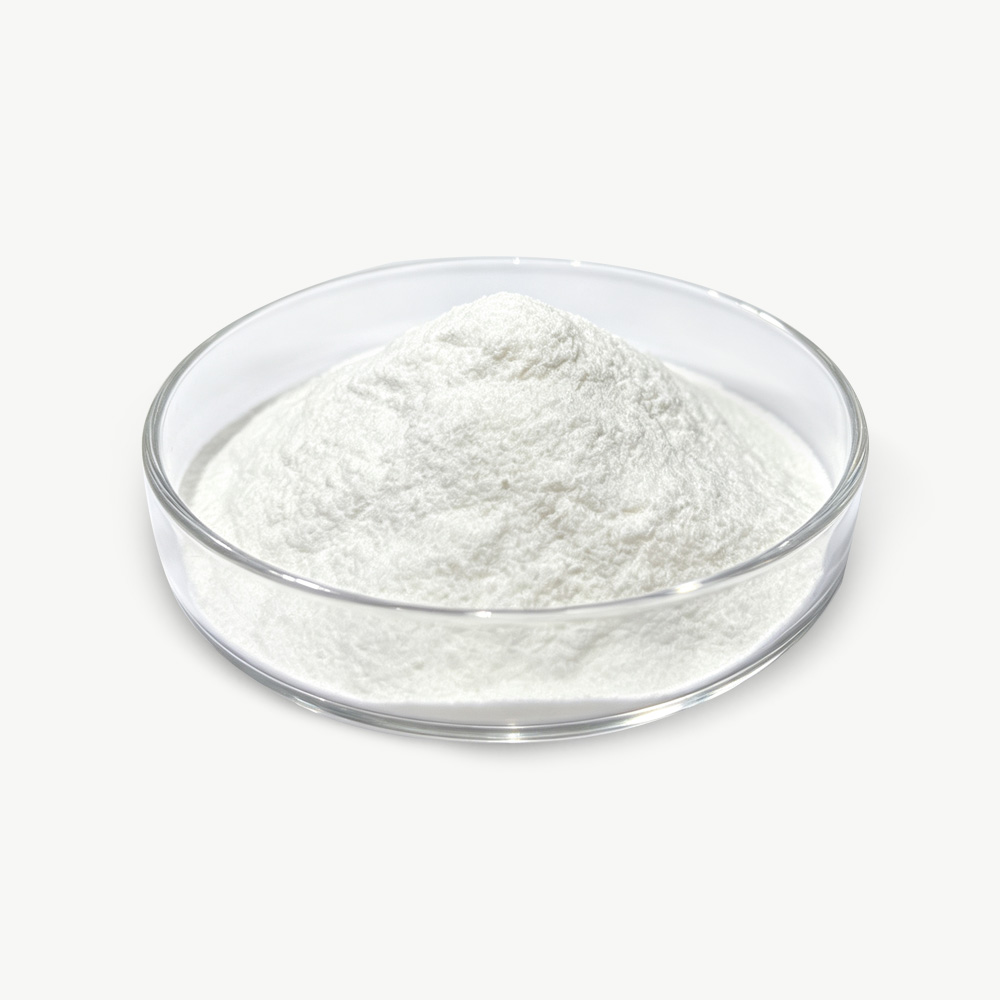 Enterococcus Faecium 1 Enterococcus Faecium
