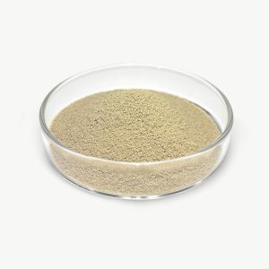 Bupro-Protease