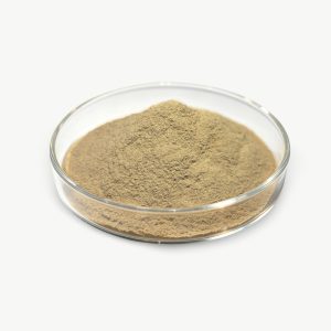 Buwheat-Xylanase, protease, amylase, cellulase