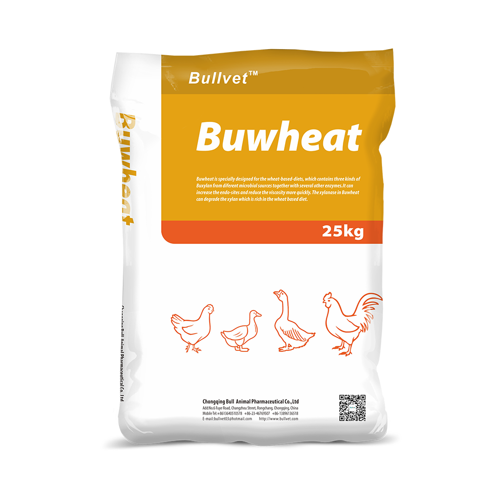 Buwheat-Xylanase, protease, amylase, cellulase 1 Buwheat-Xylanase, protease, amylase, cellulase