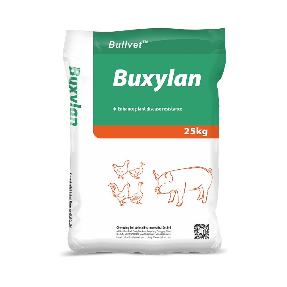 Buxylan-Xylanase 1 Buxylan-Xylanase