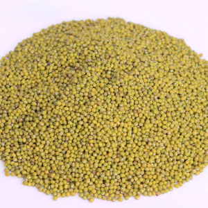 Green mung beans